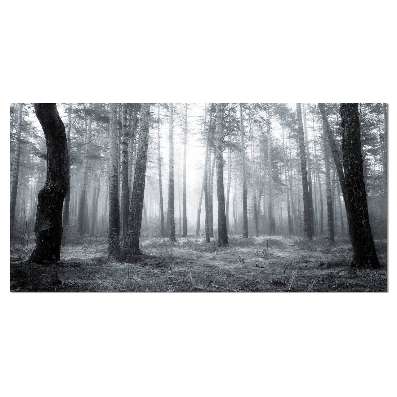 Designart - Black and White Foggy Forest - Forest Canvas Art Print